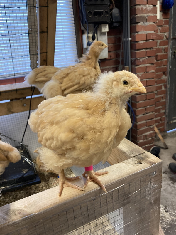 8F210126-31D9-4190-94DE-1DFC42751D56