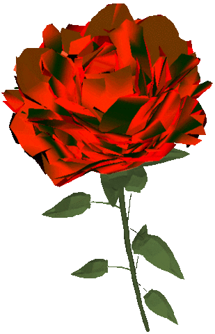 89b7dd50294725e8dc0f91487e9edf8f.gif