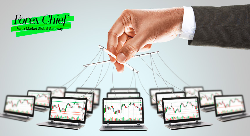 forexchief-pamm.jpg