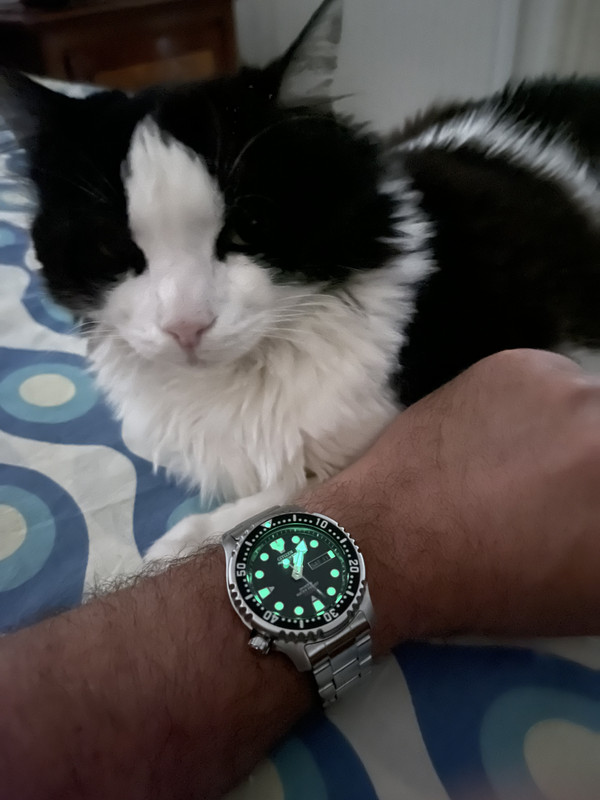 73935821-38C0-46B0-AE17-E12161AEC7C1