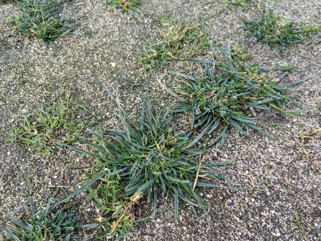 PXL_20220611_011746605