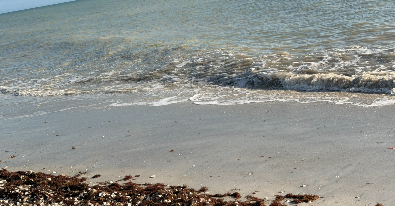 [Image: Sanibel-Island16.png]
