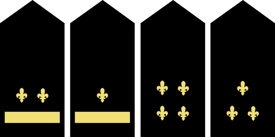 CIN4