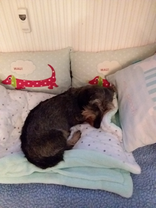 [Image: 20210206-092532-copy-1200x1600.jpg]