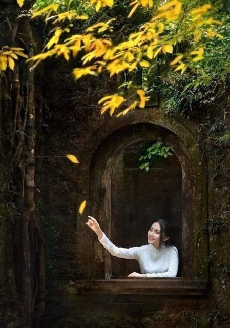 [Image: IMG-1594.jpg]