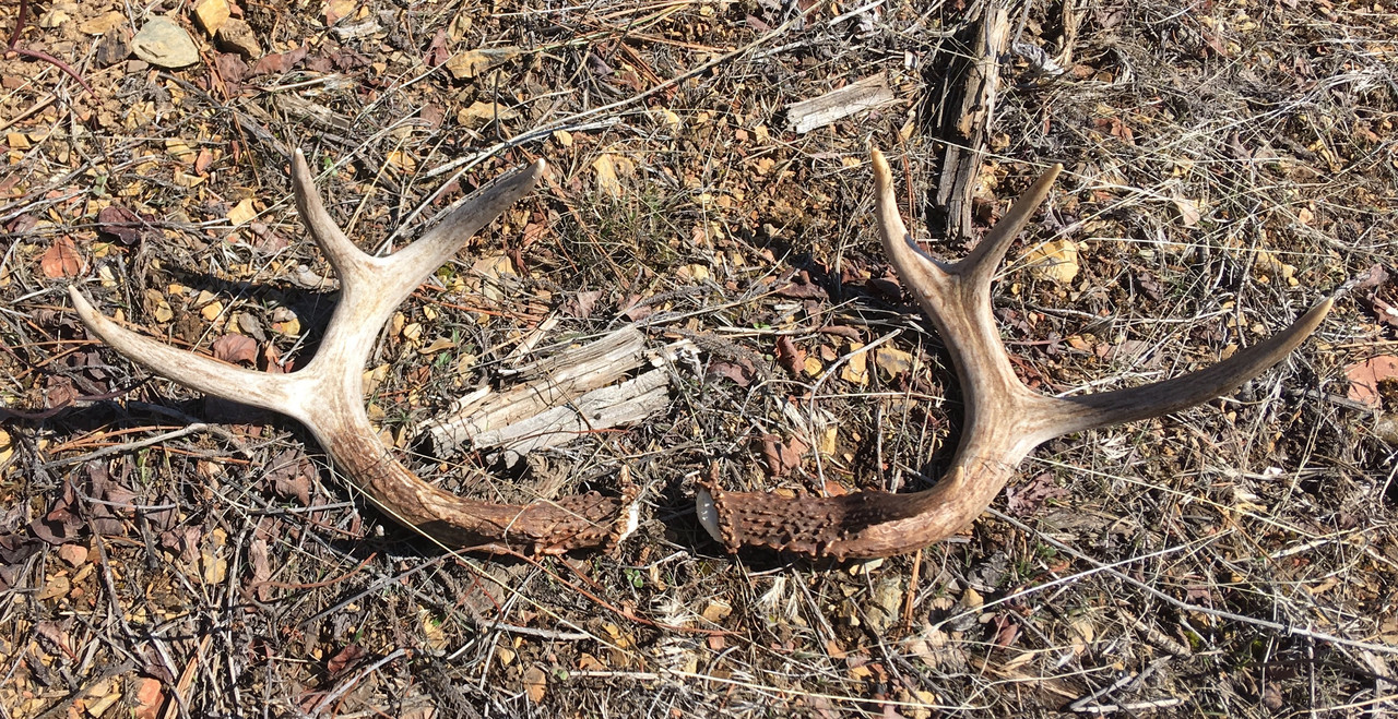 4E6520DC-6473-49FB-8117-7D4B5A23368C