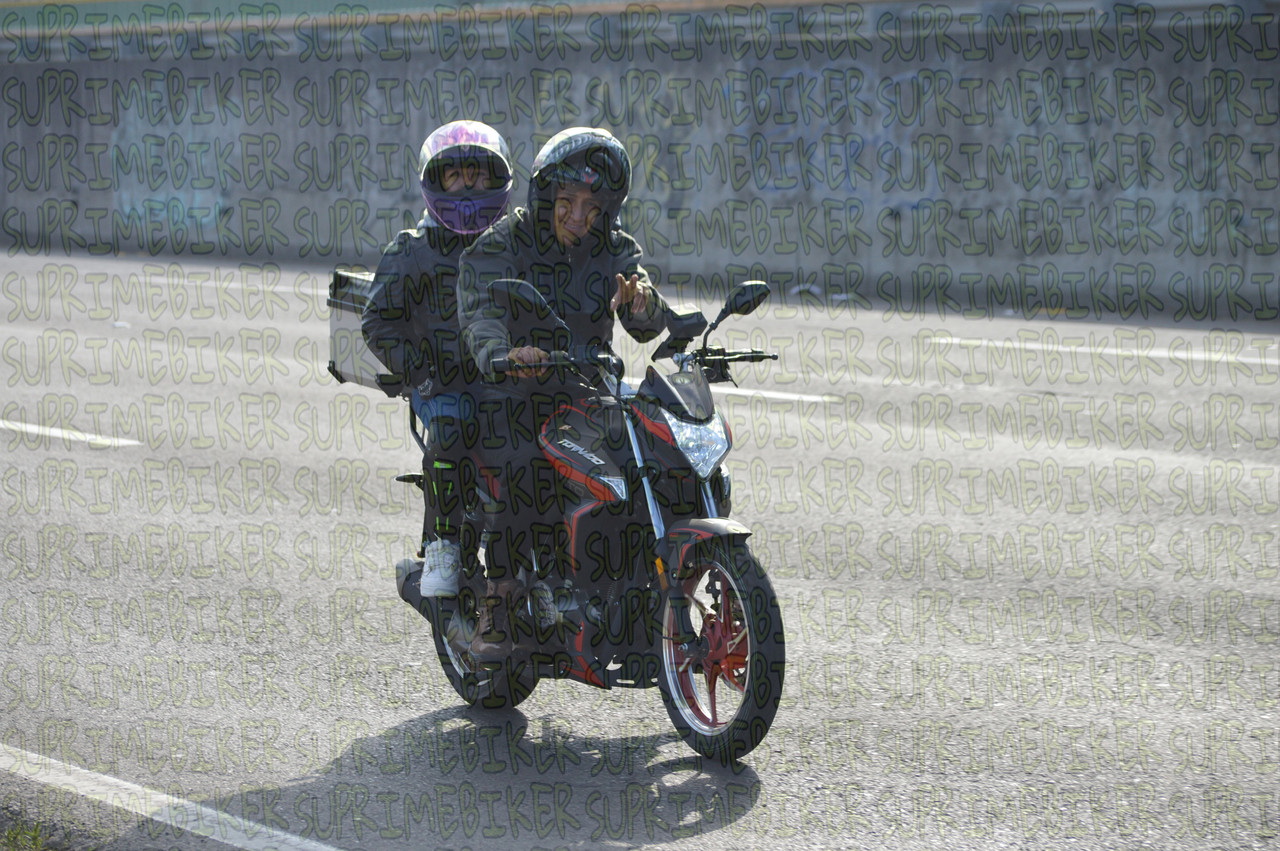 DSC 0011