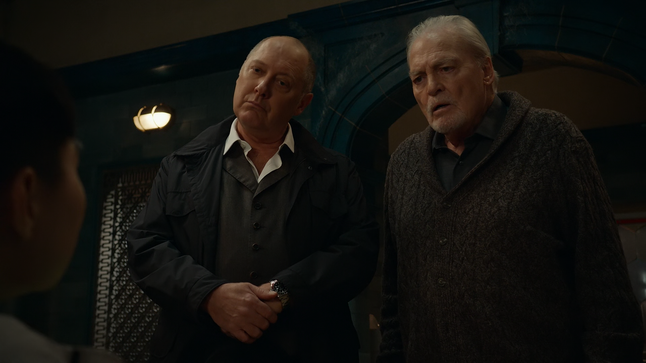 The.Blacklist.S10E04.The.Hyena.1080p.10bit.AMZN.WEB-DL.DDP5.1.HEVC-Vyndros.mkv_snapshot_20.23_[2023.