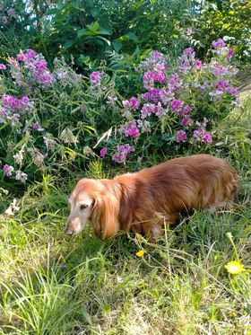 [Image: 353622578-649814217034002-6527591356423294731-n.jpg]