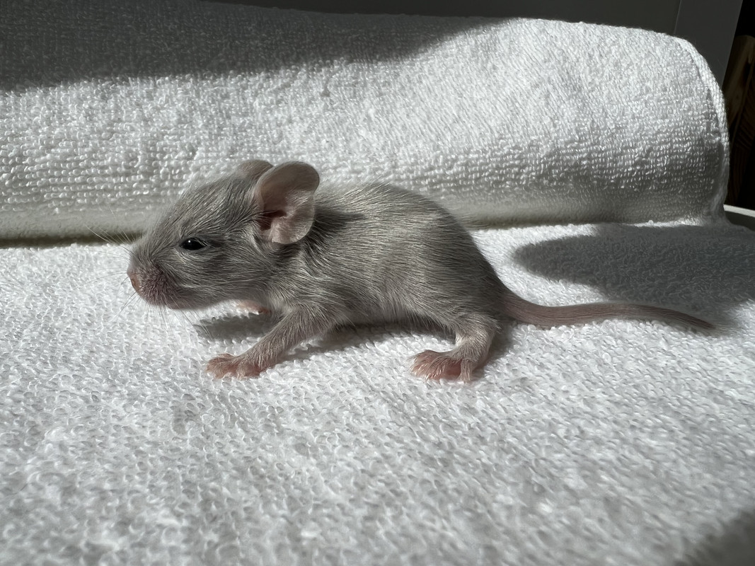 D6C70D86-B033-4ABA-AAC7-779A2D52F25D