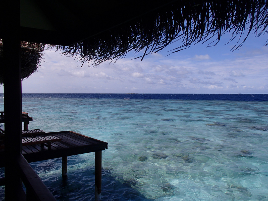 Maldivas, una joya en el Indico - Blogs de Maldivas - Preparación del viaje y primeros 4 días en la isla (11)