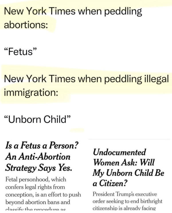 new-york-times-fetus-abortion-unborn-child-immigration.jpg
