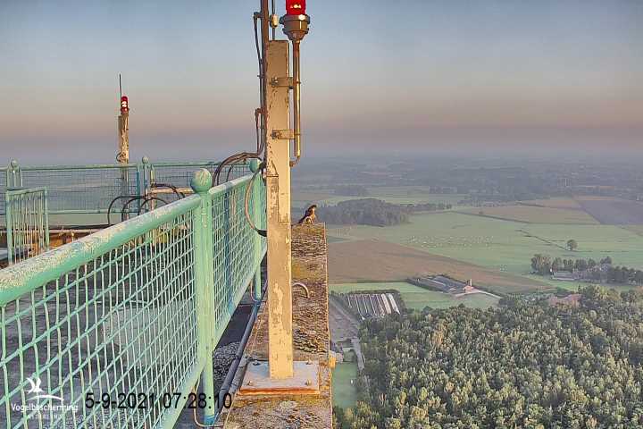 campics vanaf 1 juli © VWGGemert en bonusjes van ter plekke - Pagina 24 V6