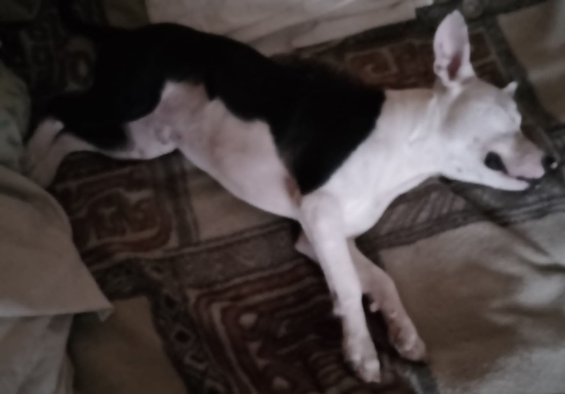 E8E97CEA-5215-4C6F-B674-B57406C9BB57