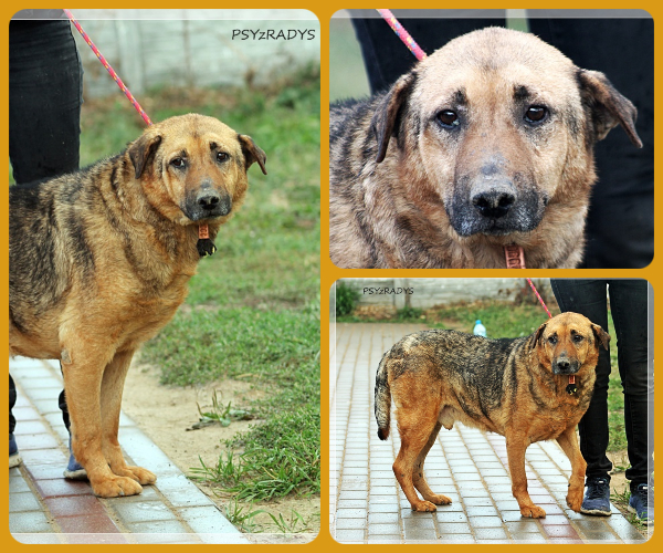 BeFunky-collage (15)