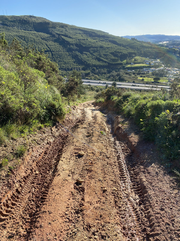 CFF900B6-5D39-4B10-8A7E-C209A36EE83C