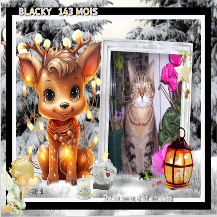 143-MOIS-BLACKY
