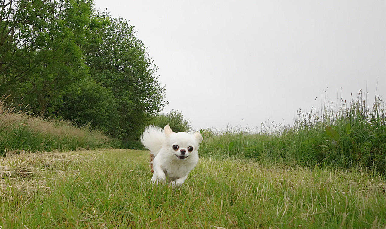 Lumii_20210605_150511238