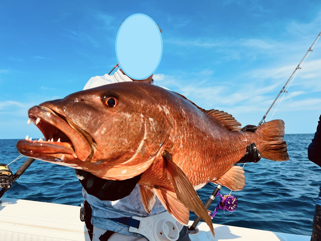 IMG_026395 (Conflicto de mayúsculas y minúsculas)