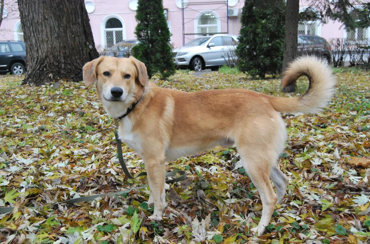 54528120-F551-47C9-BBEB-552A419F5135