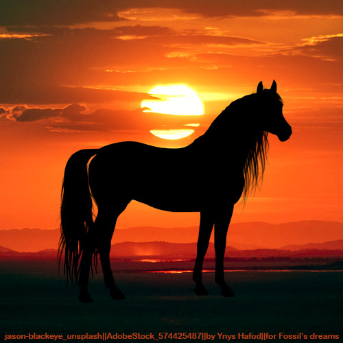 Sillouette-Sunset-Fossils-Dreams.jpg