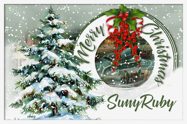 Suny-Ruby-MCEvergreen