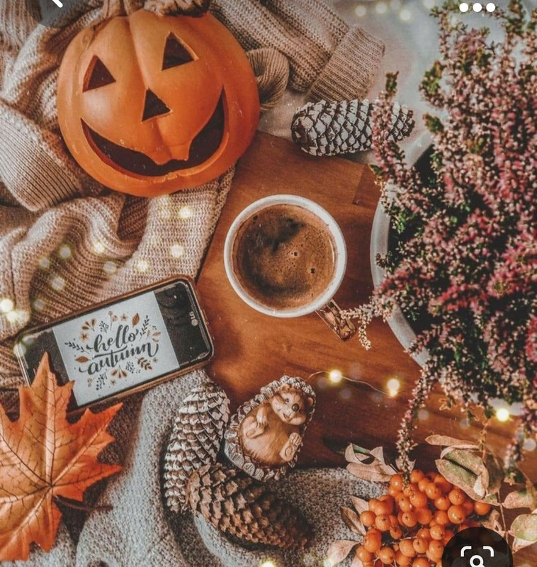 Screenshot_20231008_215852_Pinterest