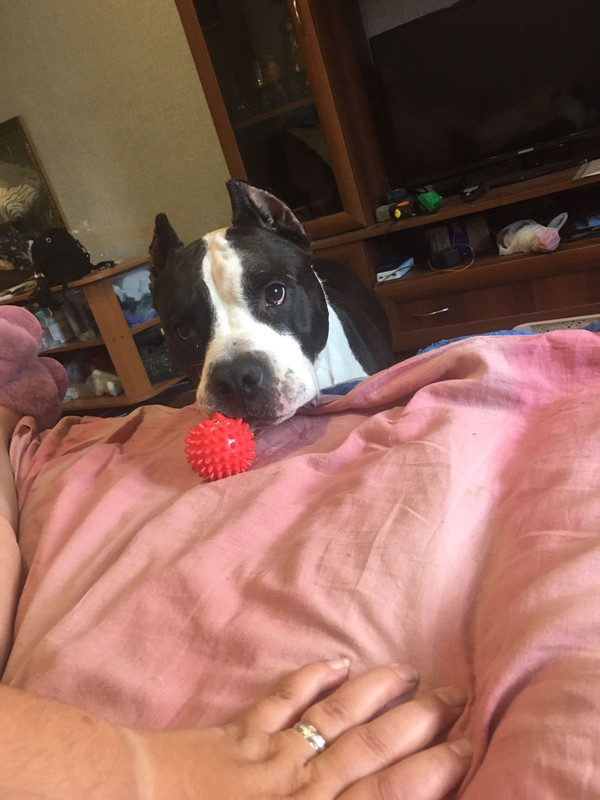 3CB088BF-C529-4188-A352-60BD5E817858