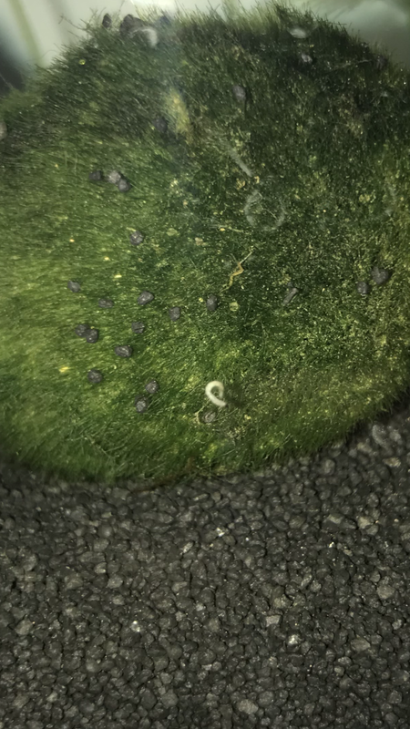 4A6CB0BF-FB7C-4CD8-A370-E9DB80AA9FF4