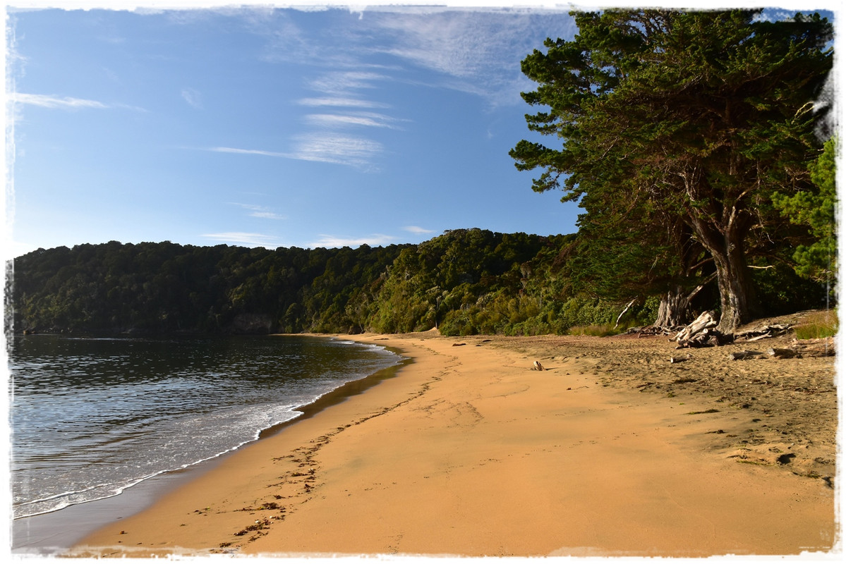 Escapadas y rutas por la Nueva Zelanda menos conocida - Blogs de Nueva Zelanda - Stewart Island:  kiwis, Coast to Coast y unos días en Oban (febrero 2021) (55)