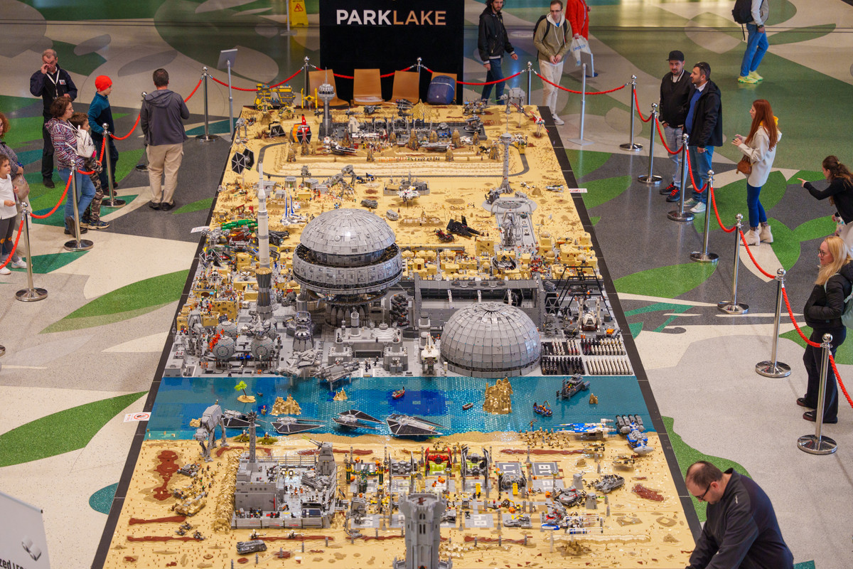 54128057676_f7979d6d65_o