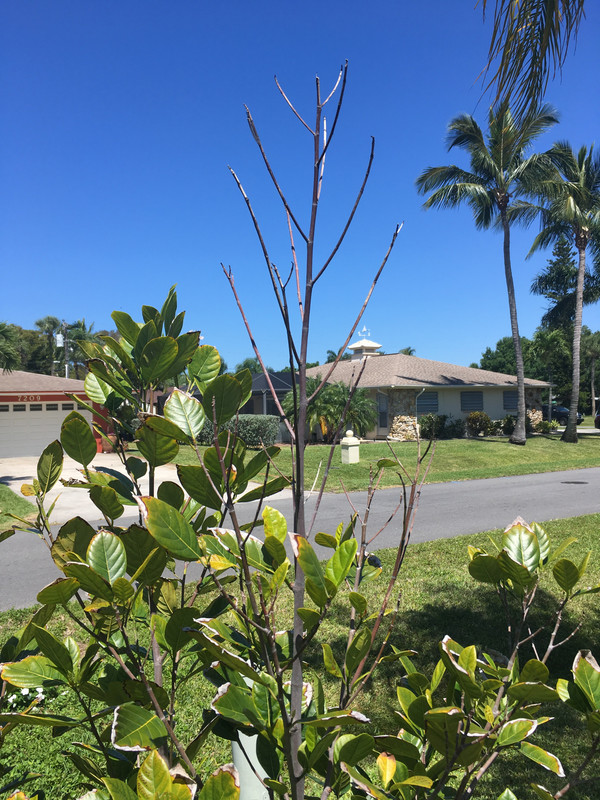 F8CFCC92-4D23-4F91-8726-A2E4FC03E6D4