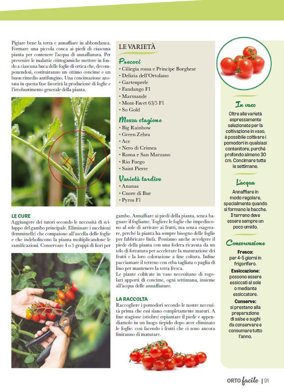 Orto Facile - Il Mio Orto Pratico - Feb-Mar 2025 (12)