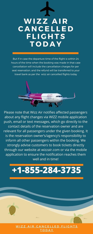 Marine Conservation Sea Turtle Infographic (2)