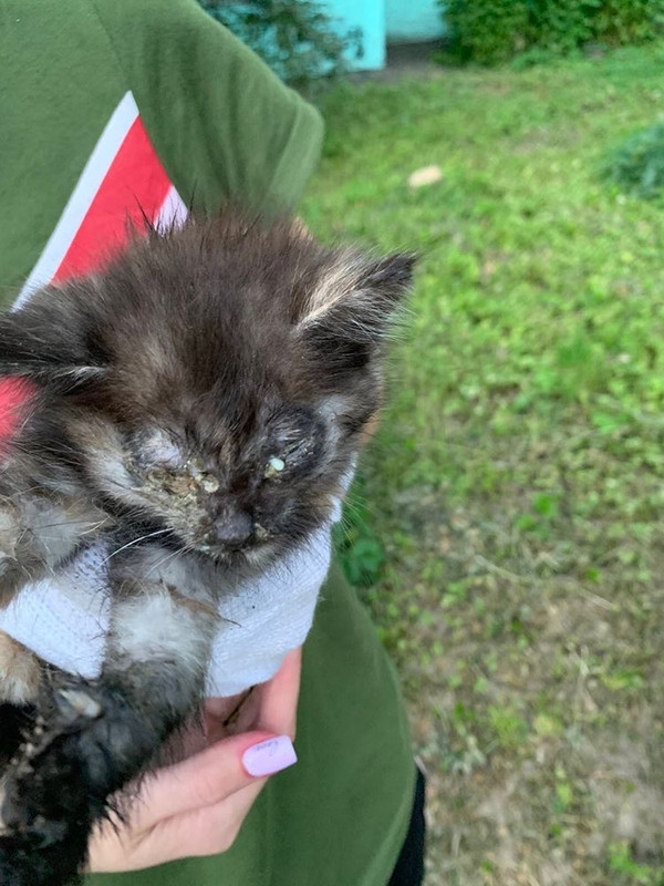 9E680E2D-A278-40E9-B6E9-C16840F7E2ED