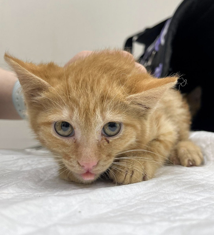 45BAF079-F7F9-4450-B547-C978BF2084CB