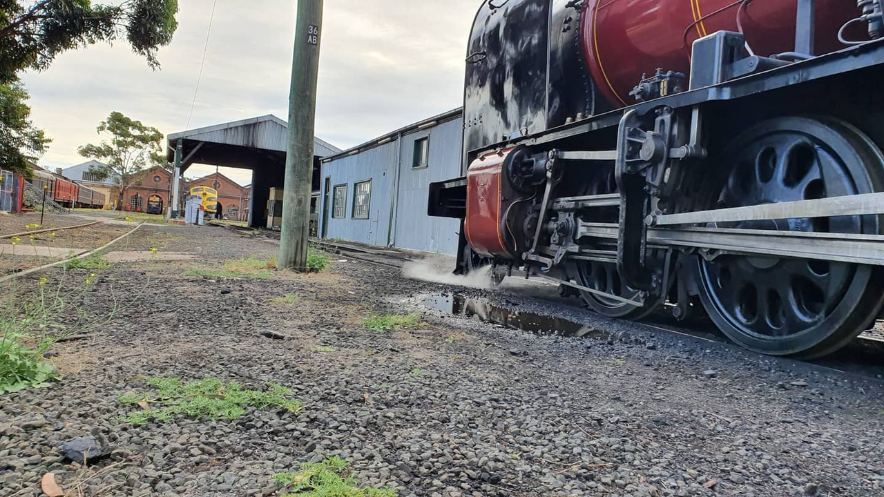 84246339_10162947057355627_1566283897501646848_o