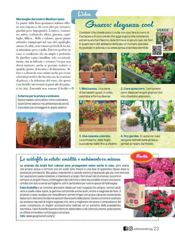 Pol Ver Lug 2024 (8)