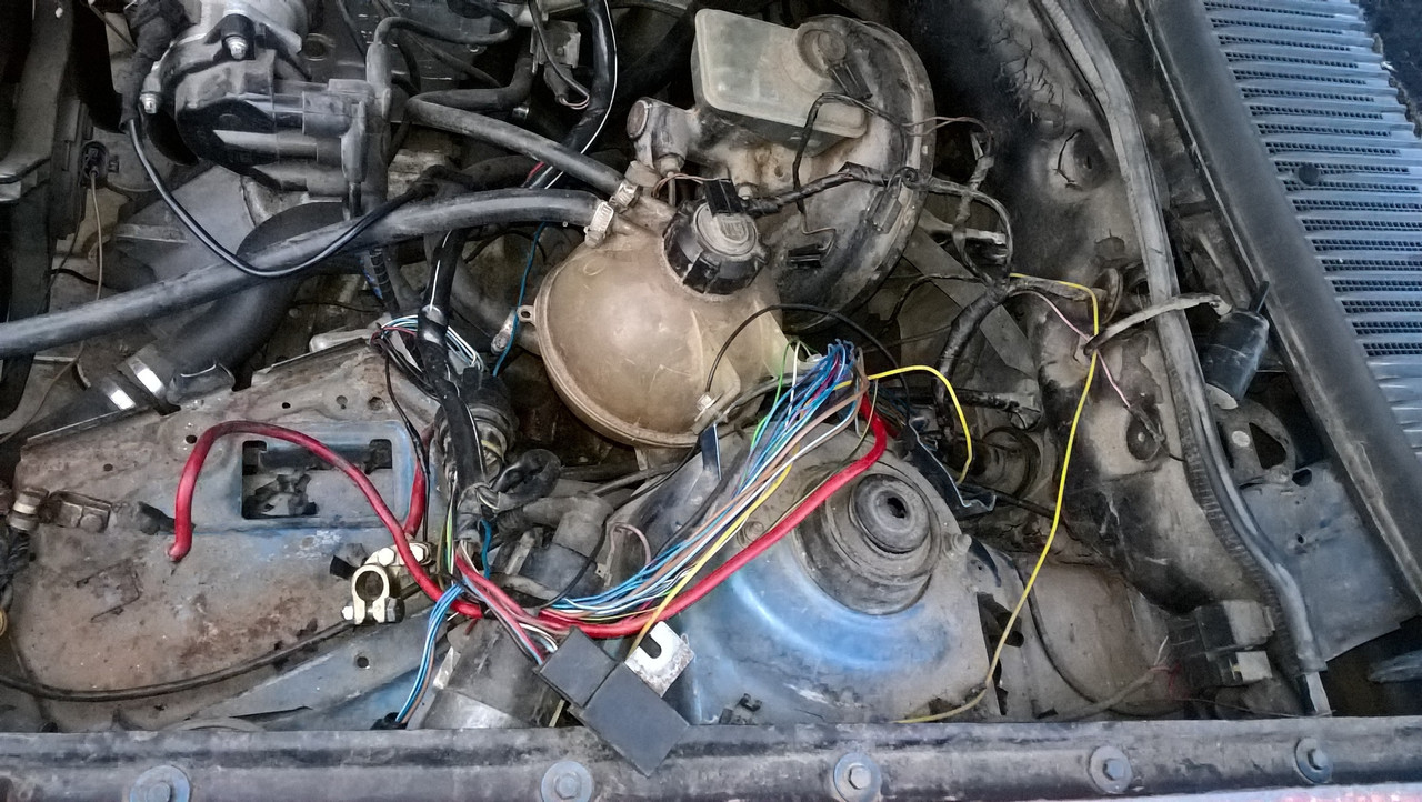 WP_20160423_19_23_38_Pro_LI (2)