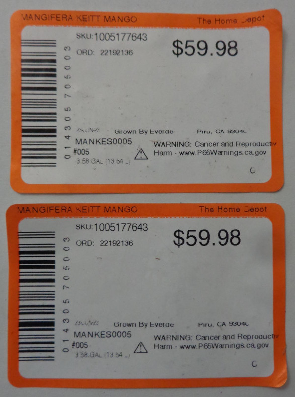 Keitt-Home Depot($60)