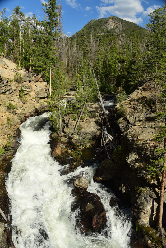 En ruta por Colorado (2022) - Blogs de USA - Parque Nacional de las Rockies (13)