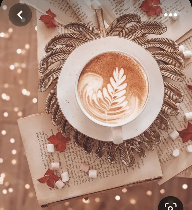 Screenshot_20230616_132454_Pinterest