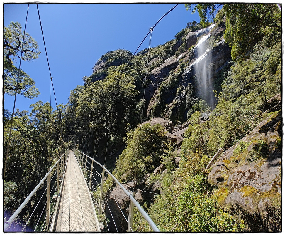 Paparoa NP: Paparoa Track (diciembre 2024) - Escapadas y rutas por la Nueva Zelanda menos conocida (40)