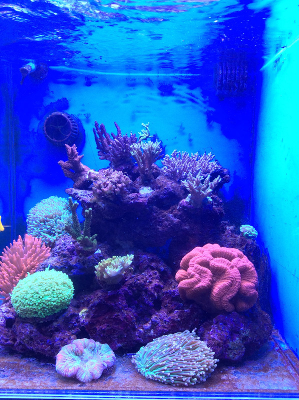 1D8F4B1B-2CFE-45BB-86C1-73AB53CE4F8F