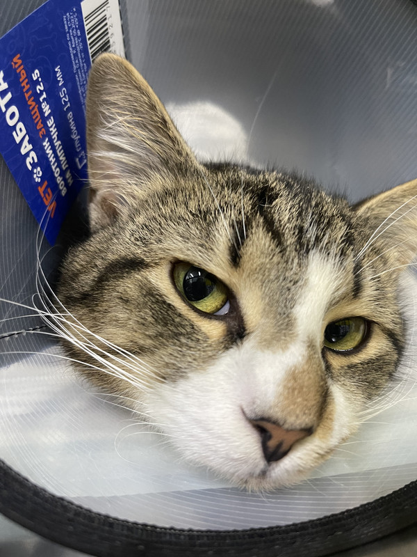 FBC052C8-8E5E-4A4F-BF91-59D48B7324F5