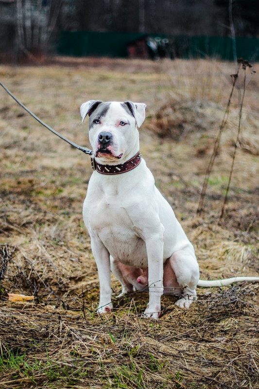 без имени-1147