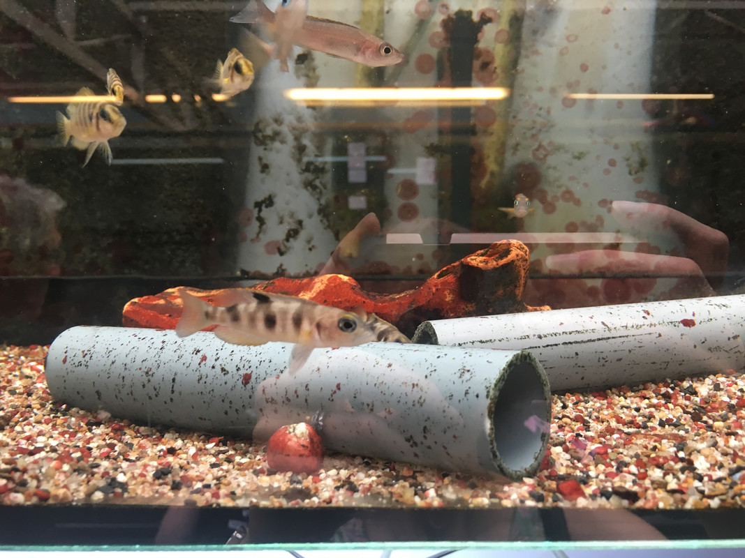 0BC1B8D5-7584-4D85-A262-5A910D7D4923