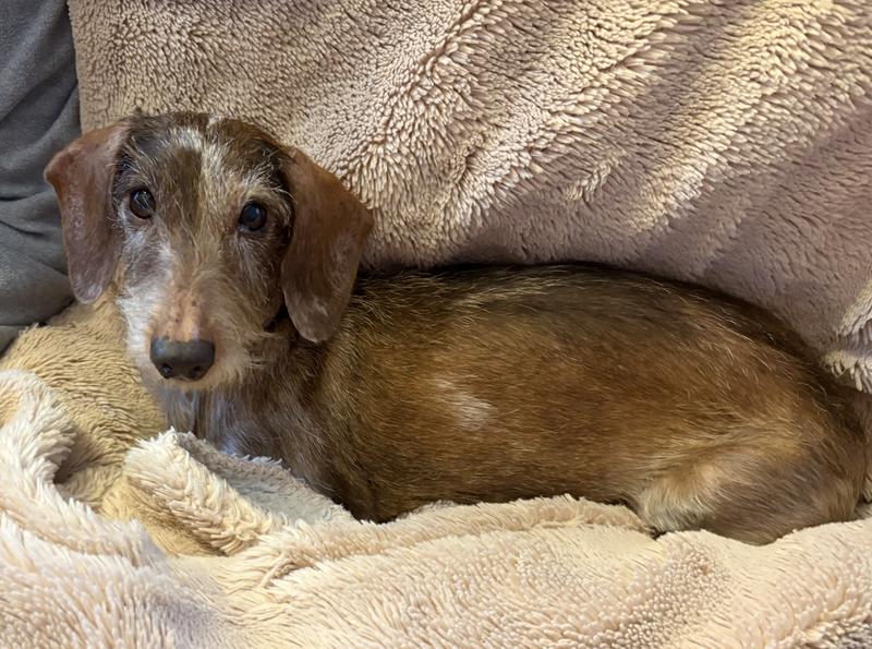 [Image: IMG-0919.jpg]