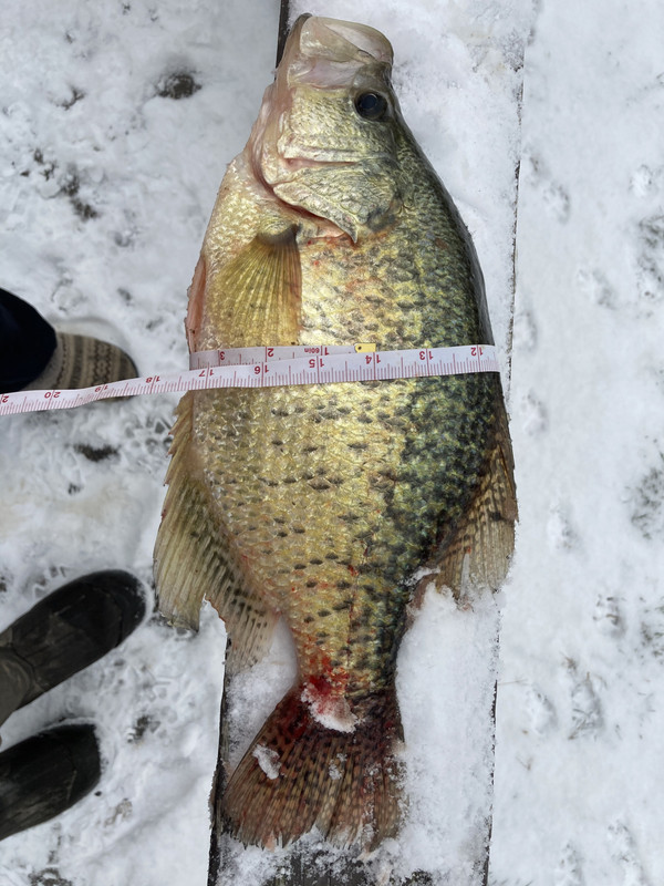 699C7F6A-4080-4CEC-A118-CC1053D2D60E