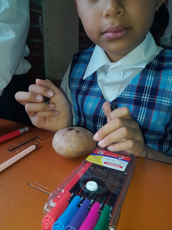 Clases Particulares (24)